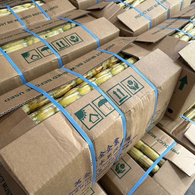 Fresh Sugarcane