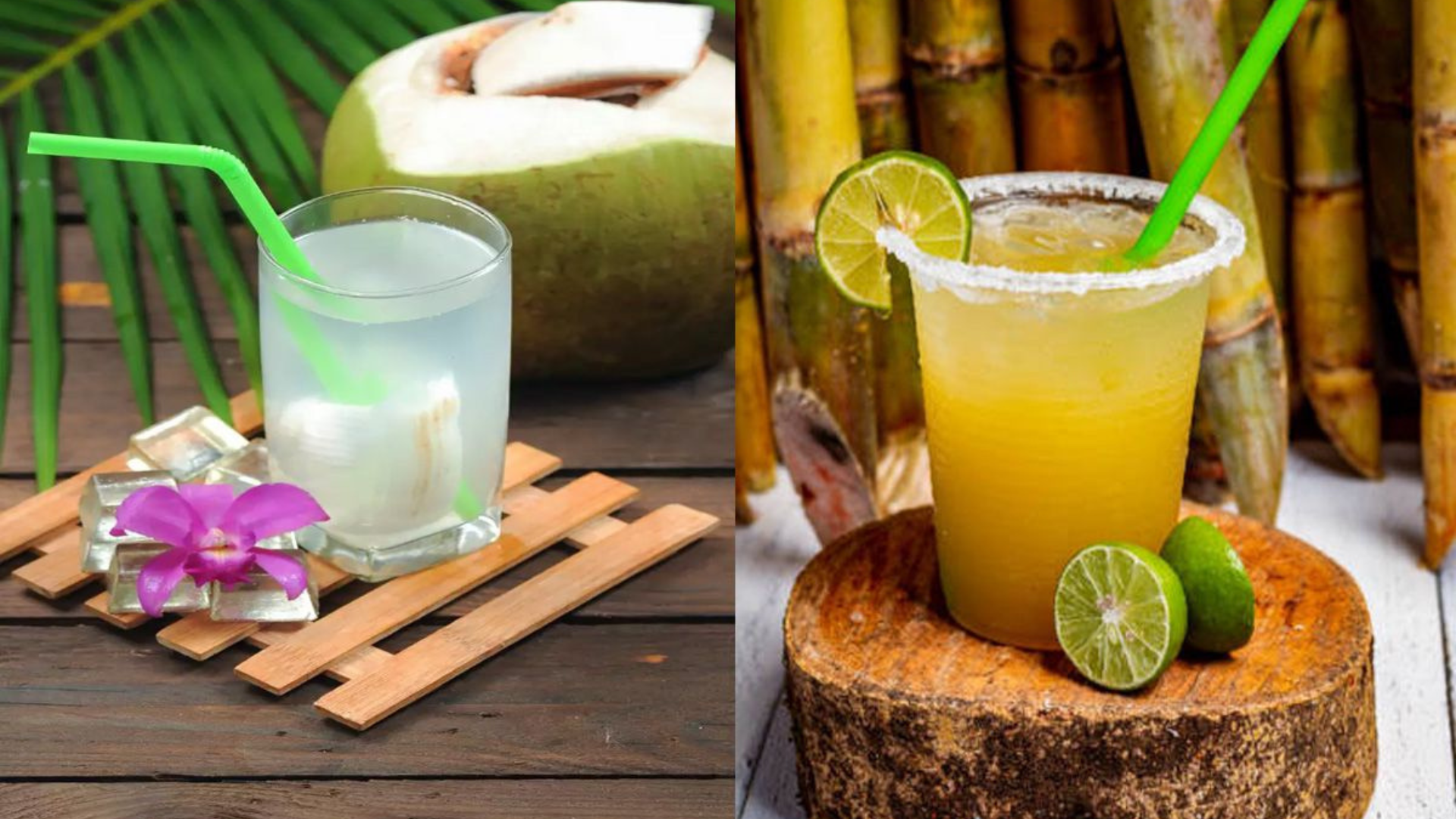 sugarcane Singapore
