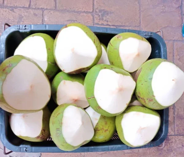 fresh coconut
