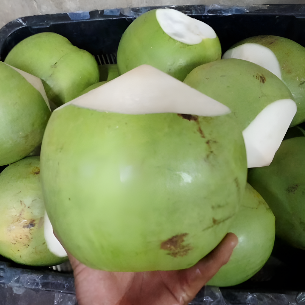 Fresh Coconuts Singapore