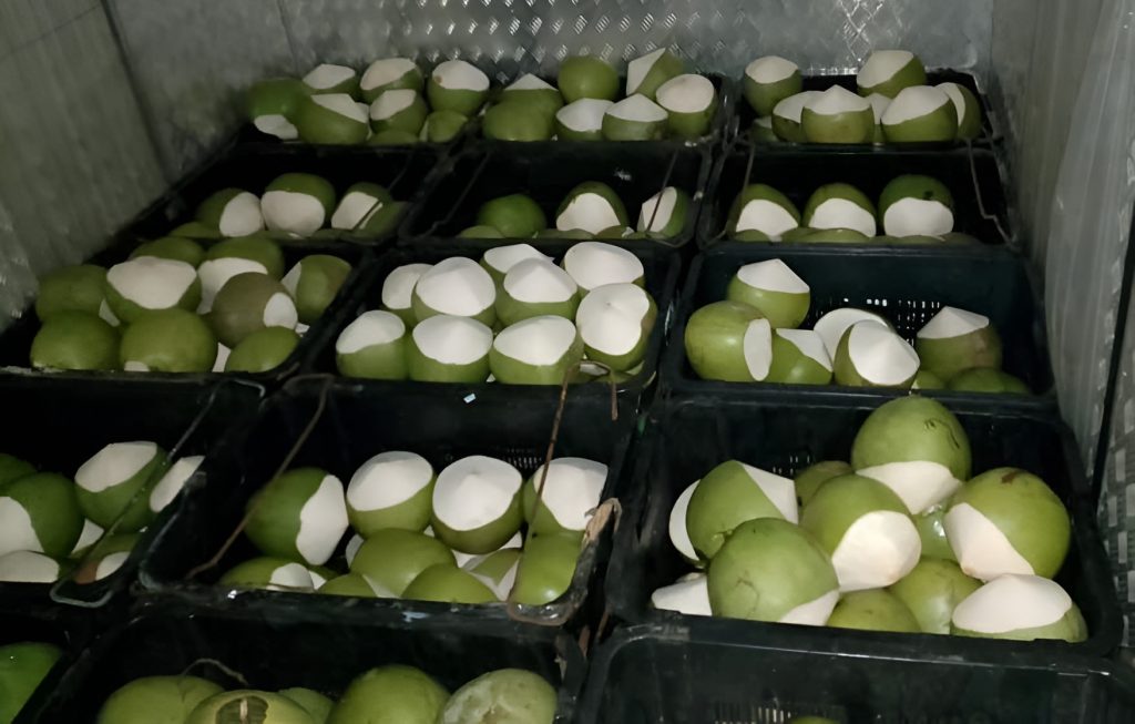 Thai Fresh Coconuts in Singapore Thai Fresh Coconuts in Singapore